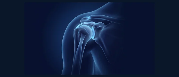 Shoulder joint anatomy